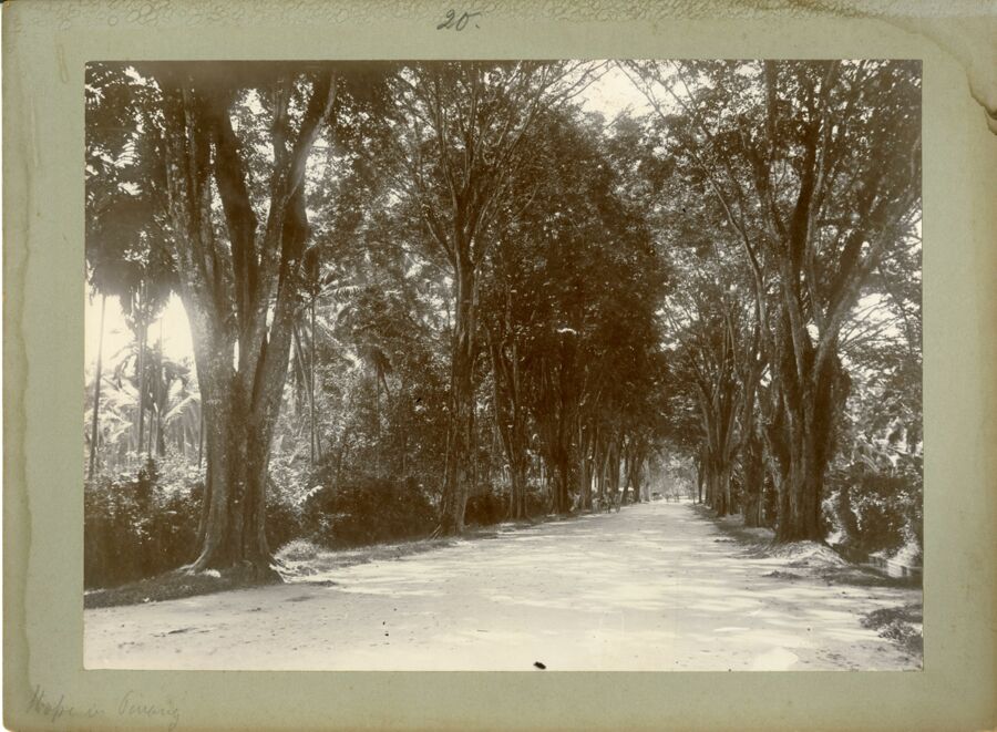 vergrößerte Ansicht des Objekts