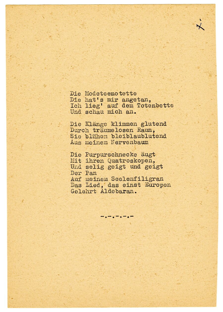 vergrößerte Ansicht des Objekts