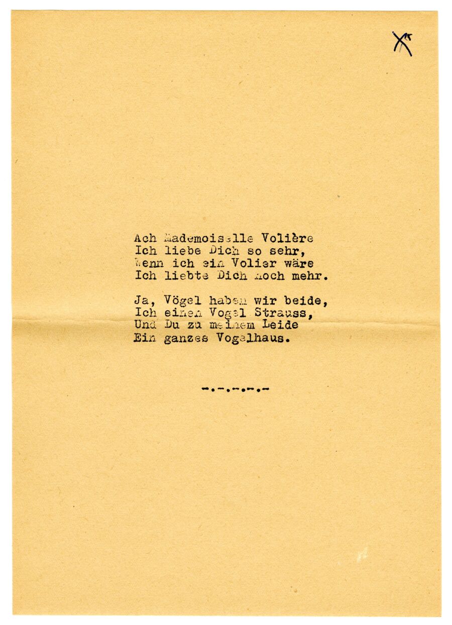 vergrößerte Ansicht des Objekts