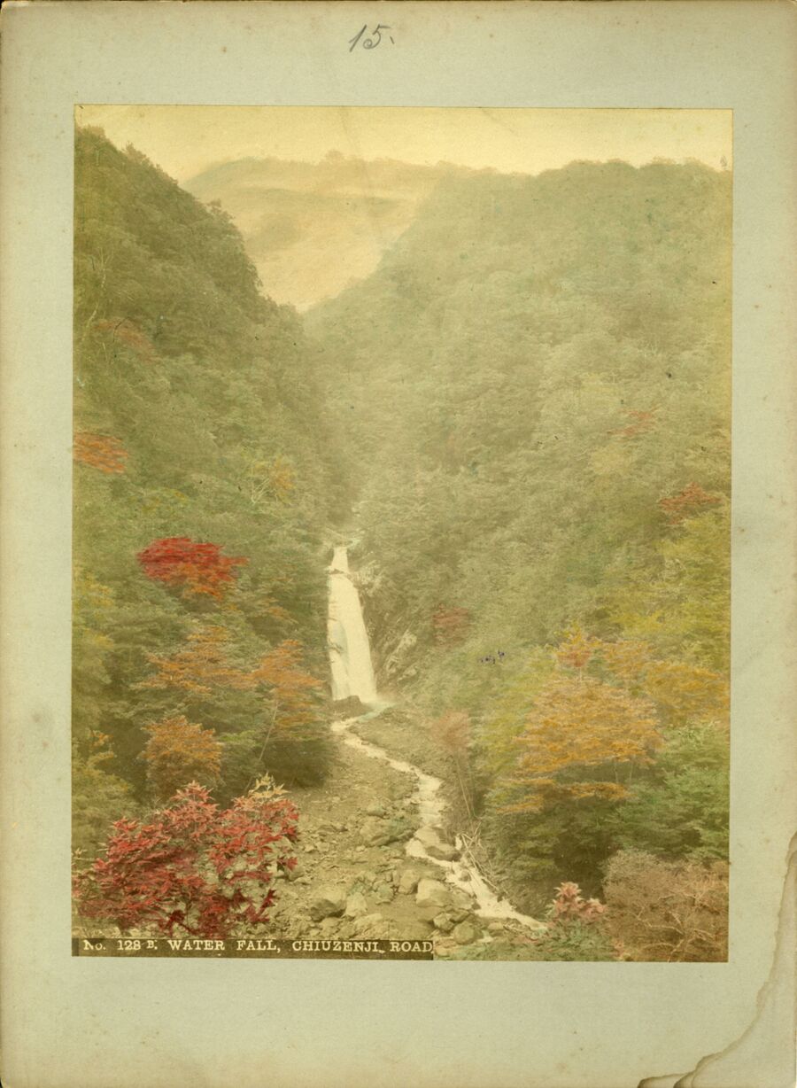 vergrößerte Ansicht des Objekts