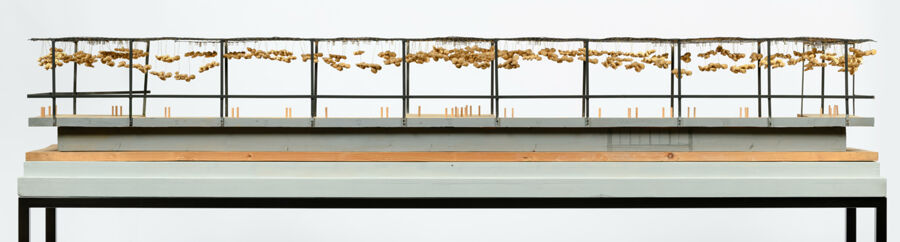 vergrößerte Ansicht des Objekts