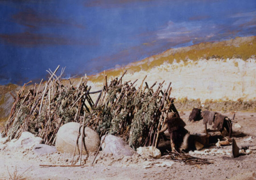 vergrößerte Ansicht des Objekts