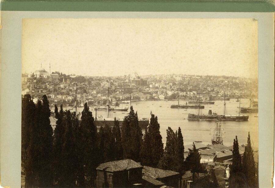 vergrößerte Ansicht des Objekts