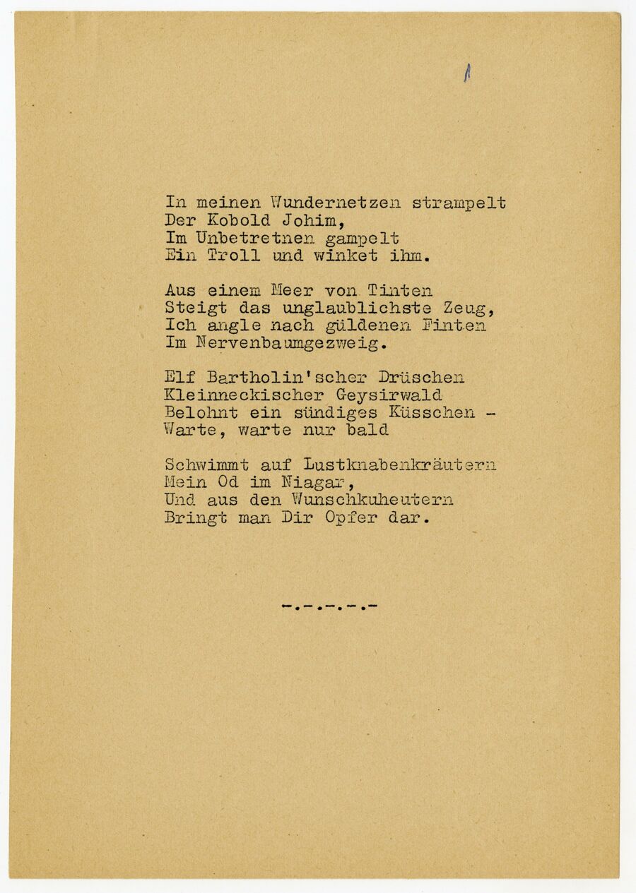 vergrößerte Ansicht des Objekts