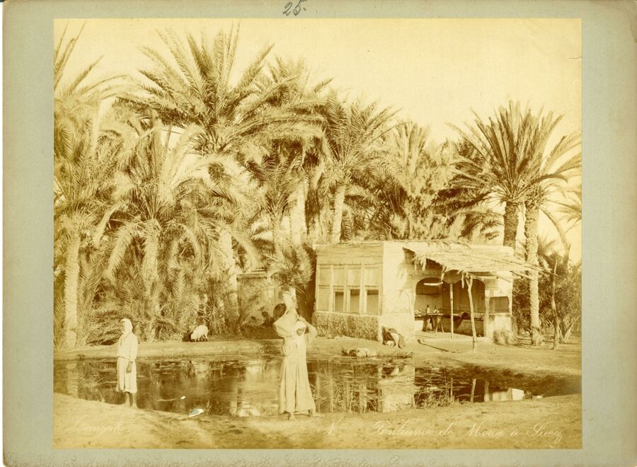 vergrößerte Ansicht des Objekts