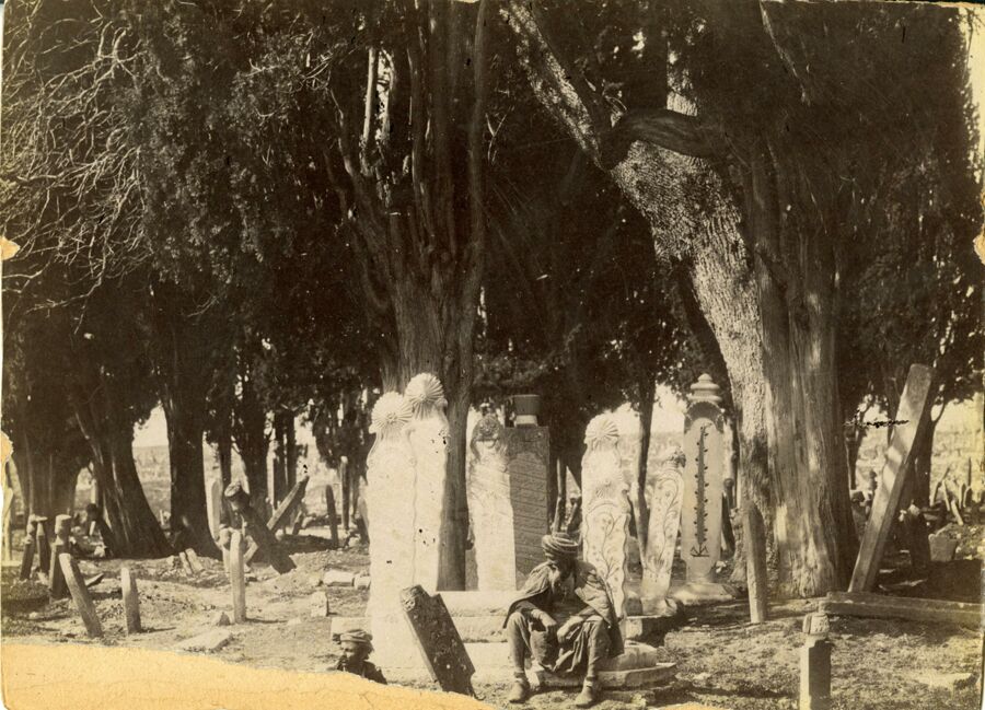 vergrößerte Ansicht des Objekts