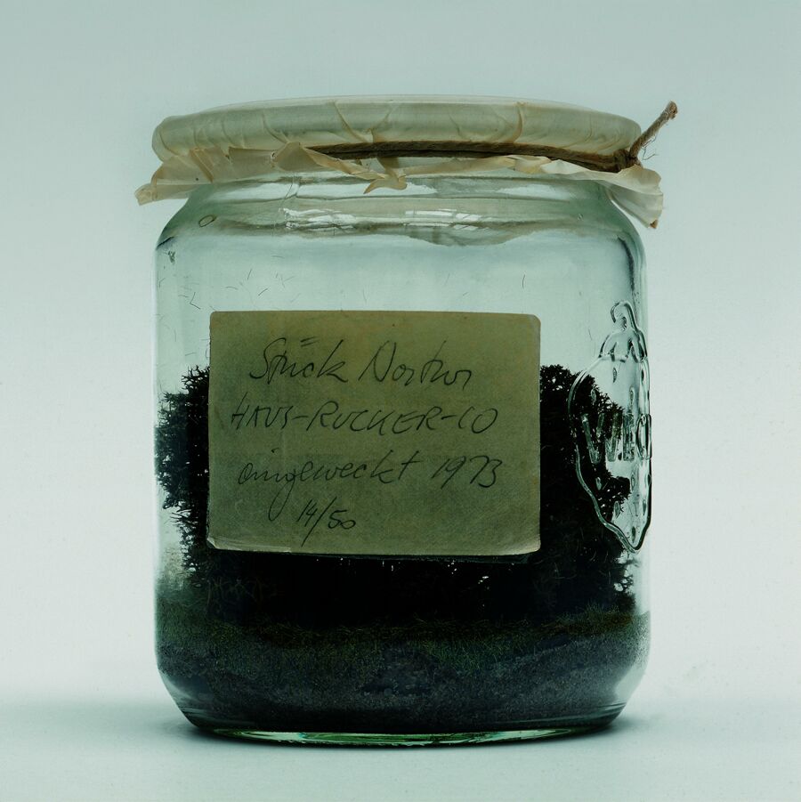 vergrößerte Ansicht des Objekts