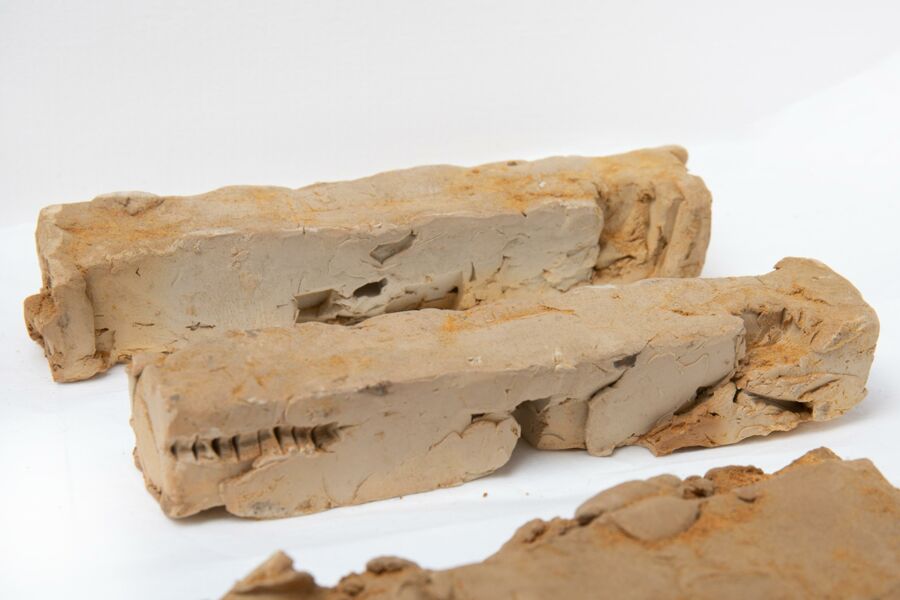 vergrößerte Ansicht des Objekts