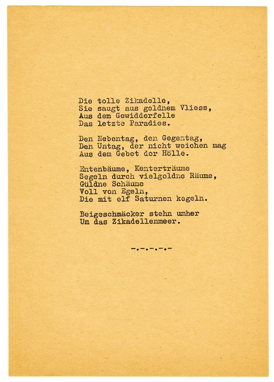 vergrößerte Ansicht des Objekts