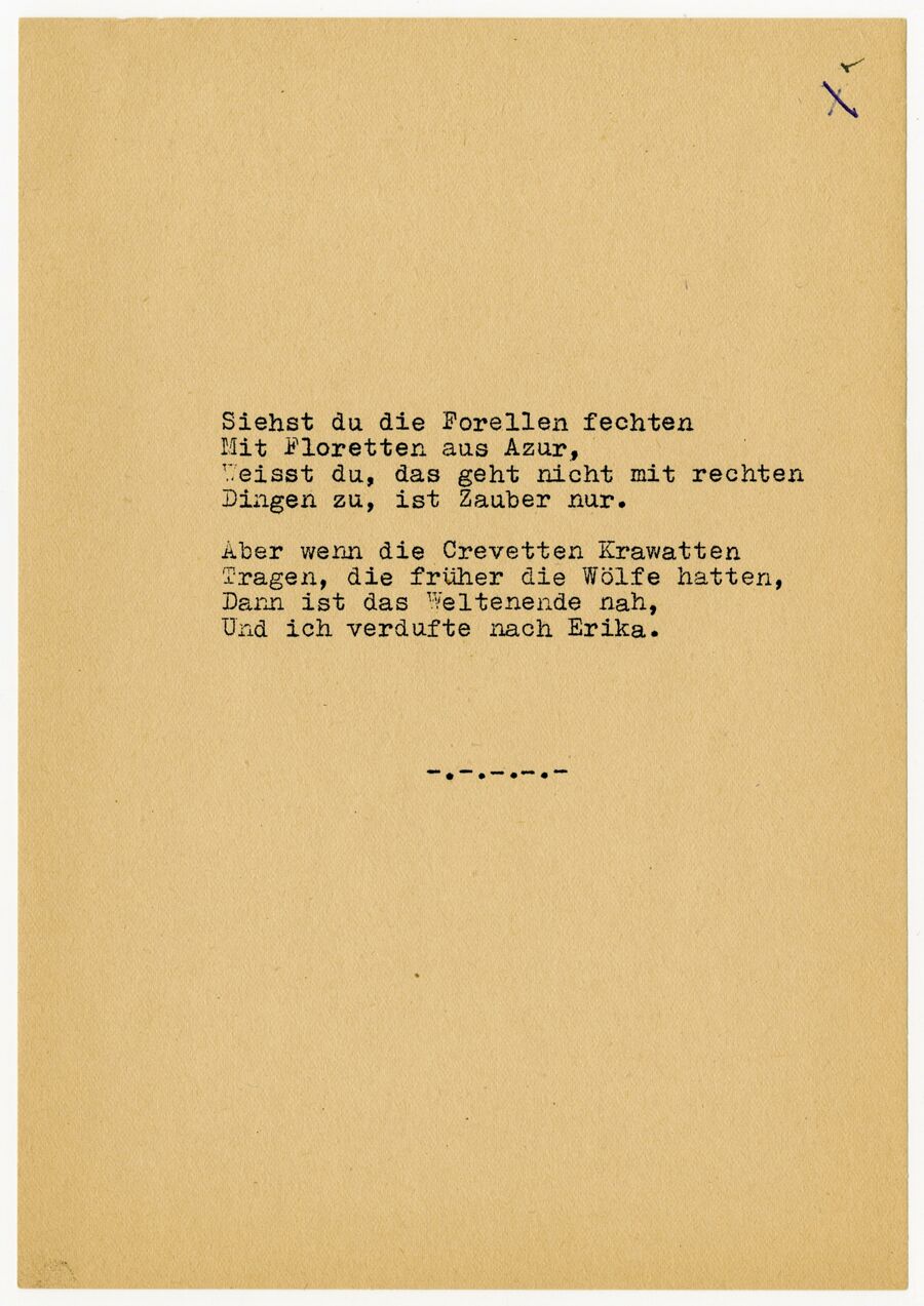 vergrößerte Ansicht des Objekts