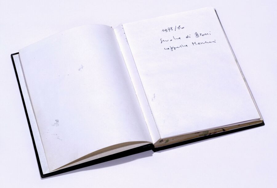 vergrößerte Ansicht des Objekts