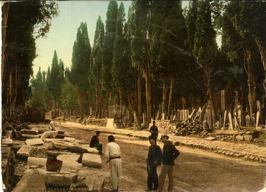 vergrößerte Ansicht des Objekts