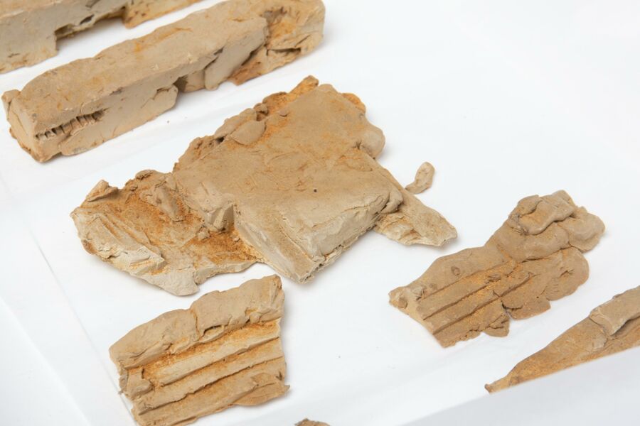 vergrößerte Ansicht des Objekts