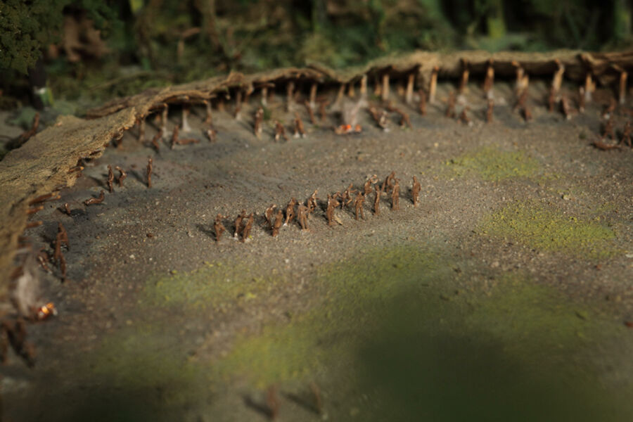 vergrößerte Ansicht des Objekts