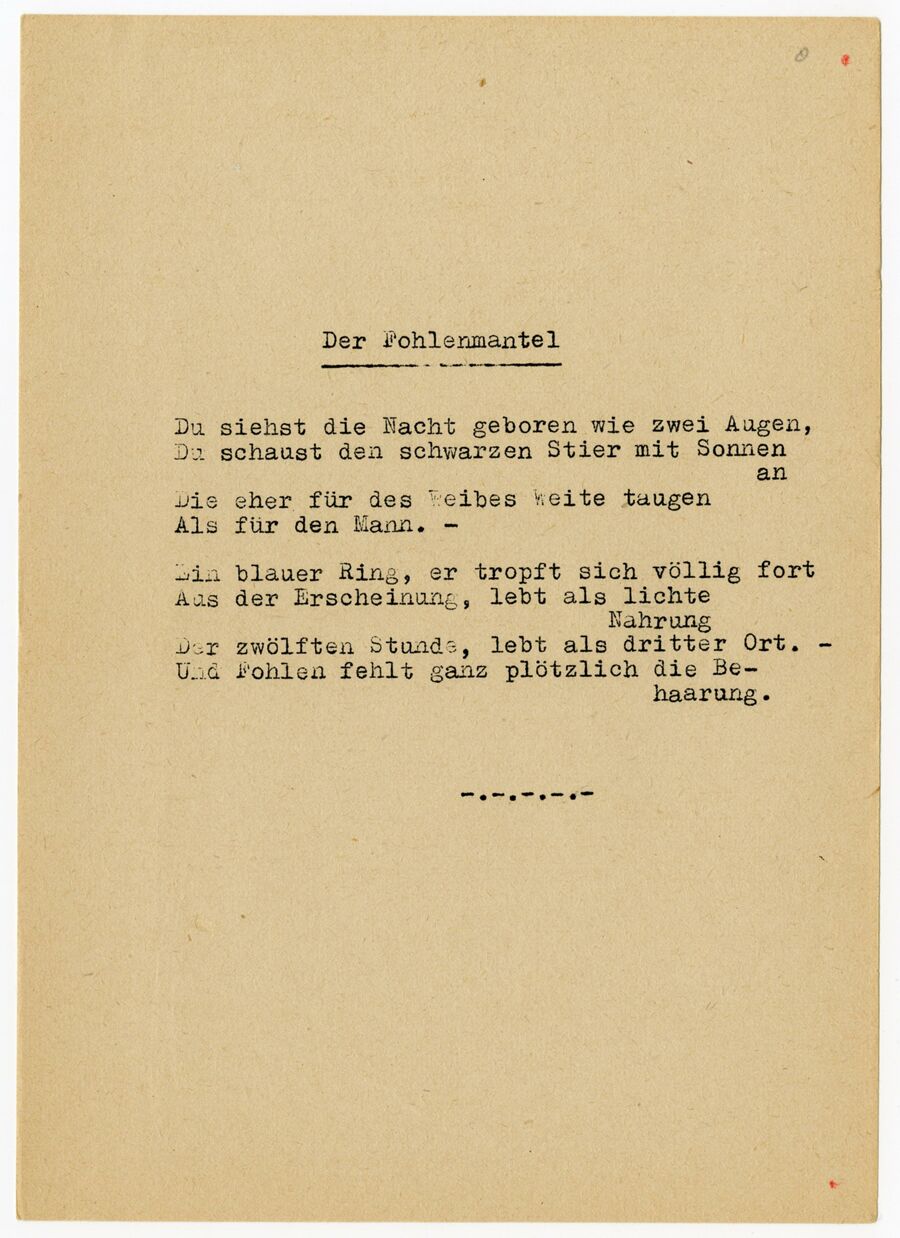 vergrößerte Ansicht des Objekts