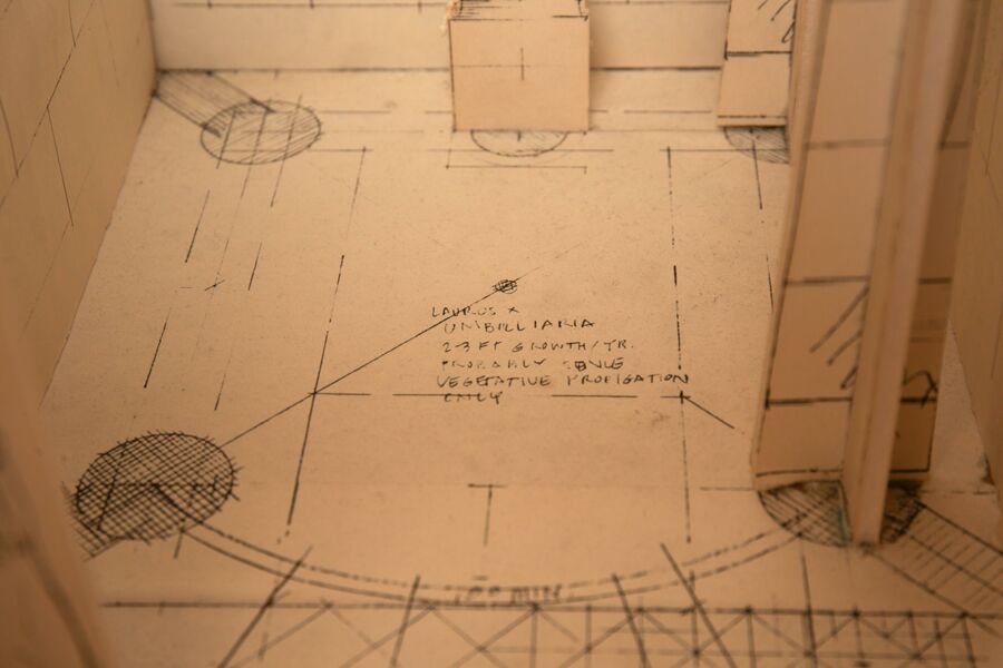 vergrößerte Ansicht des Objekts
