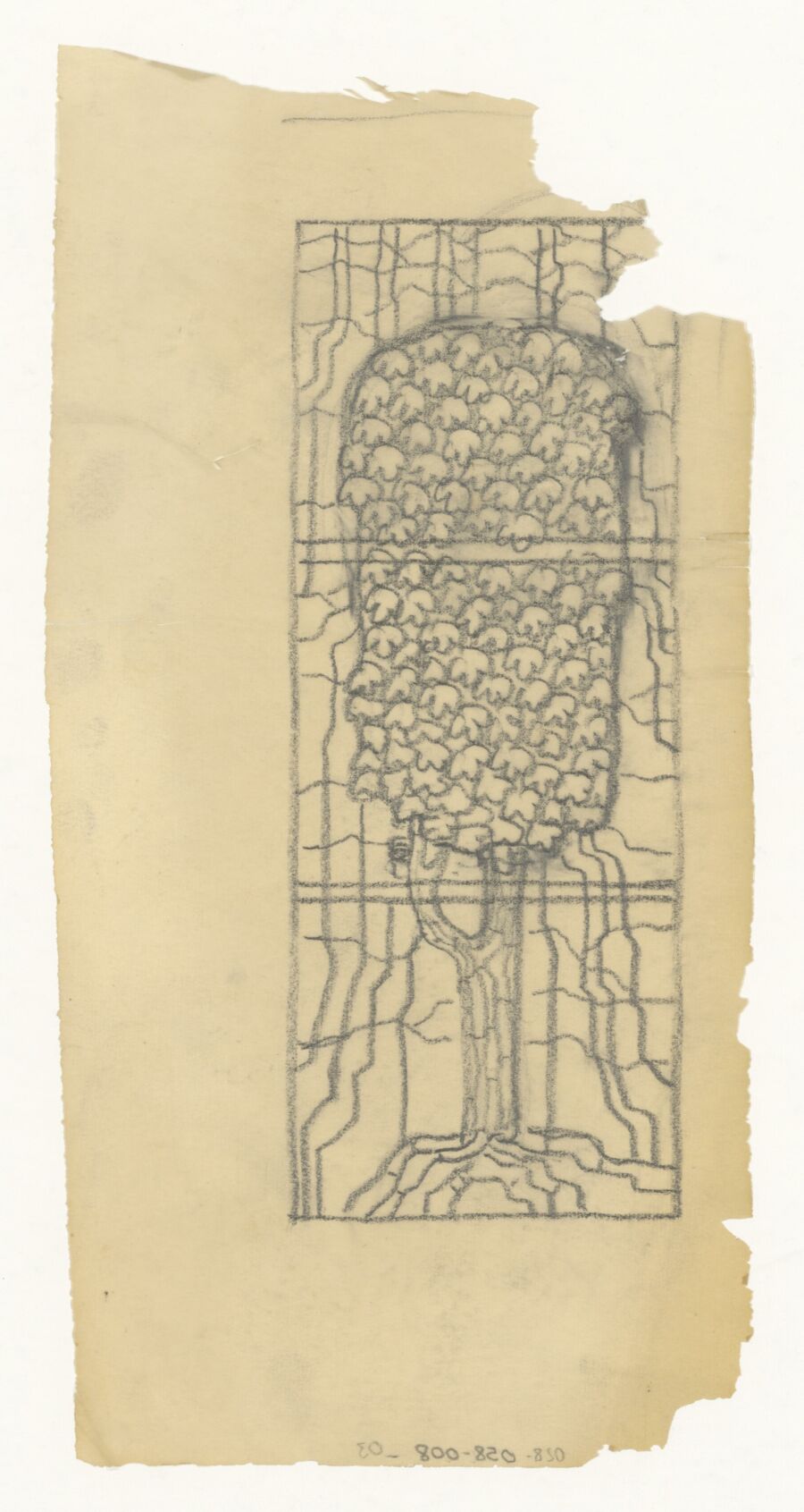 vergrößerte Ansicht des Objekts