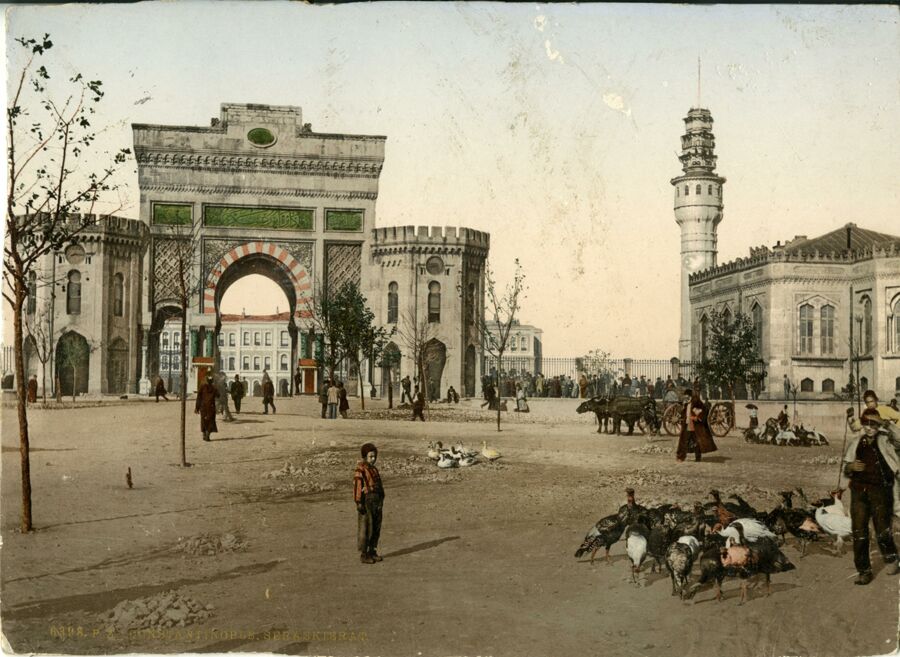 vergrößerte Ansicht des Objekts