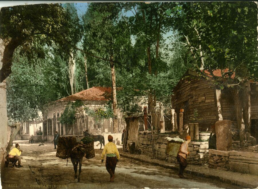 vergrößerte Ansicht des Objekts