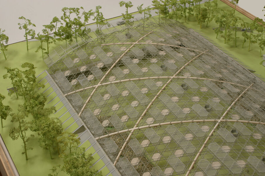 vergrößerte Ansicht des Objekts