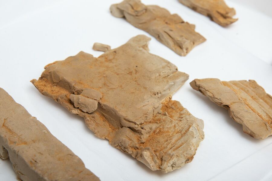 vergrößerte Ansicht des Objekts