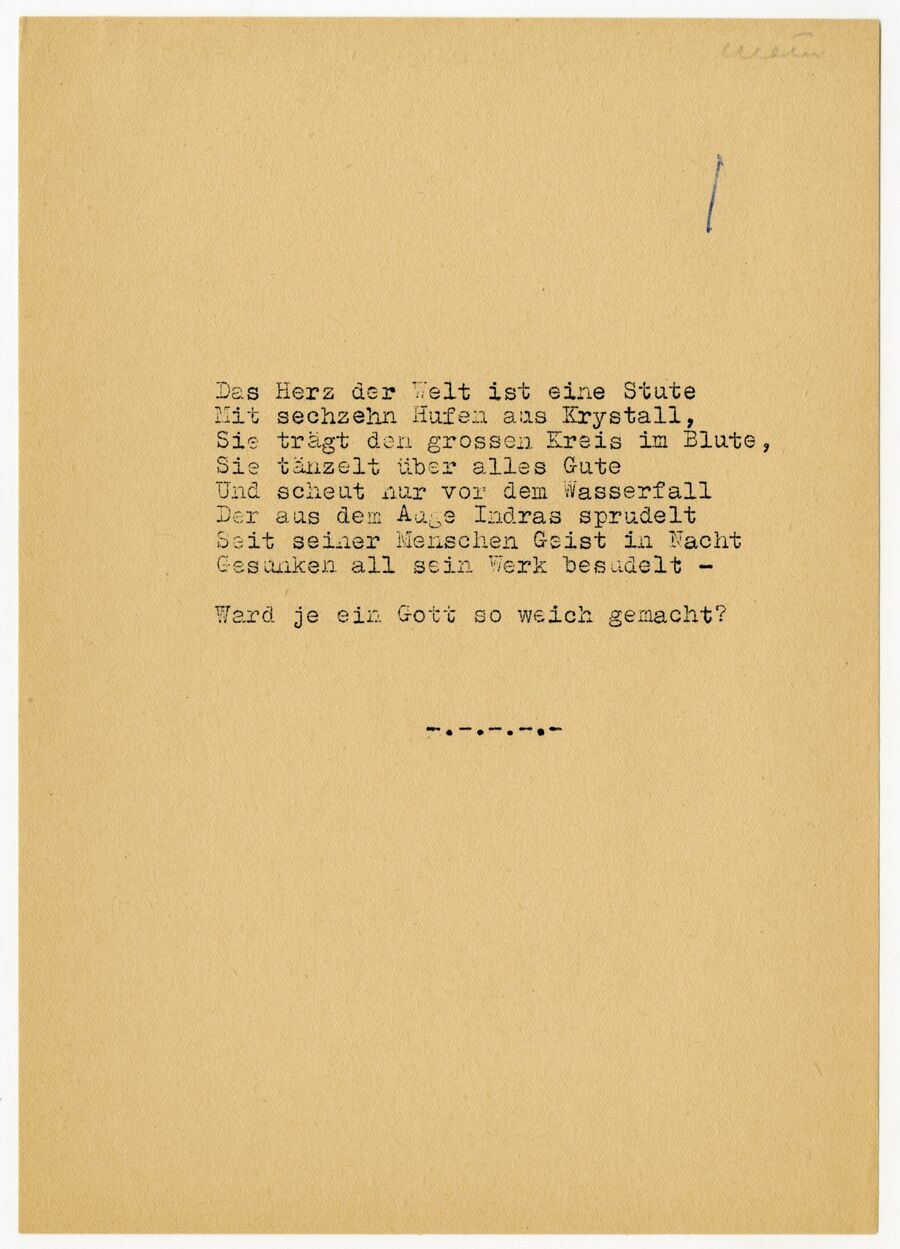 vergrößerte Ansicht des Objekts