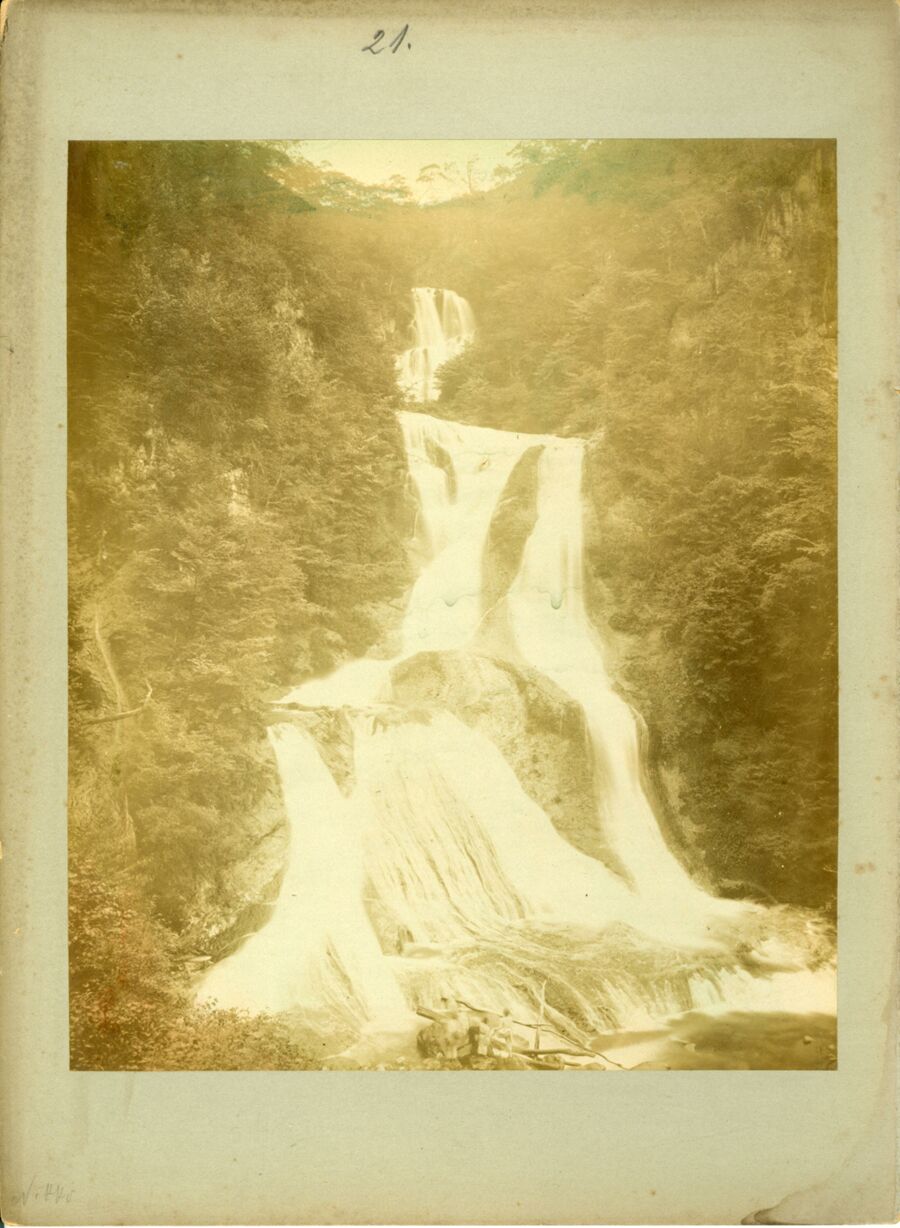 vergrößerte Ansicht des Objekts