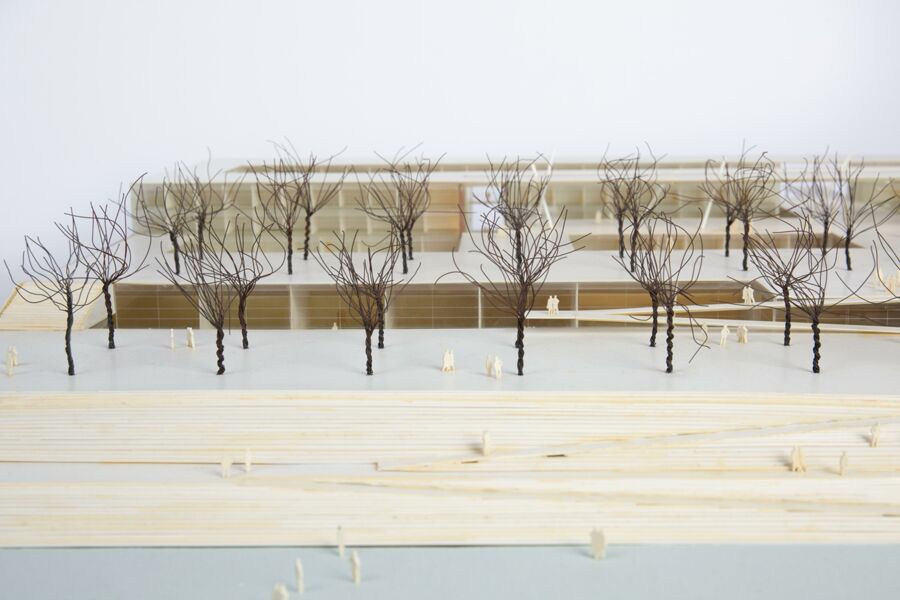 vergrößerte Ansicht des Objekts