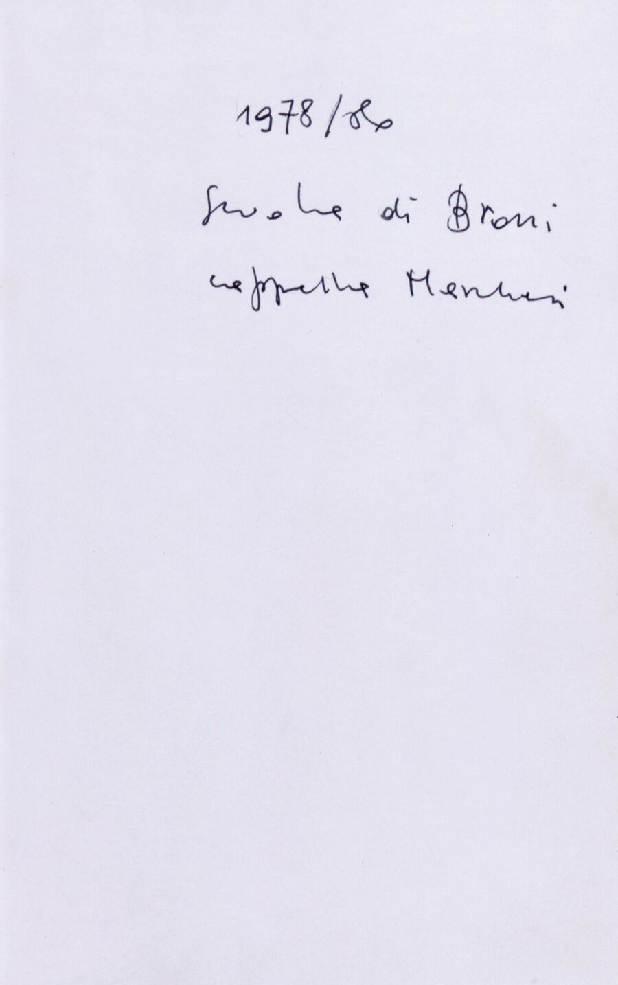 vergrößerte Ansicht des Objekts