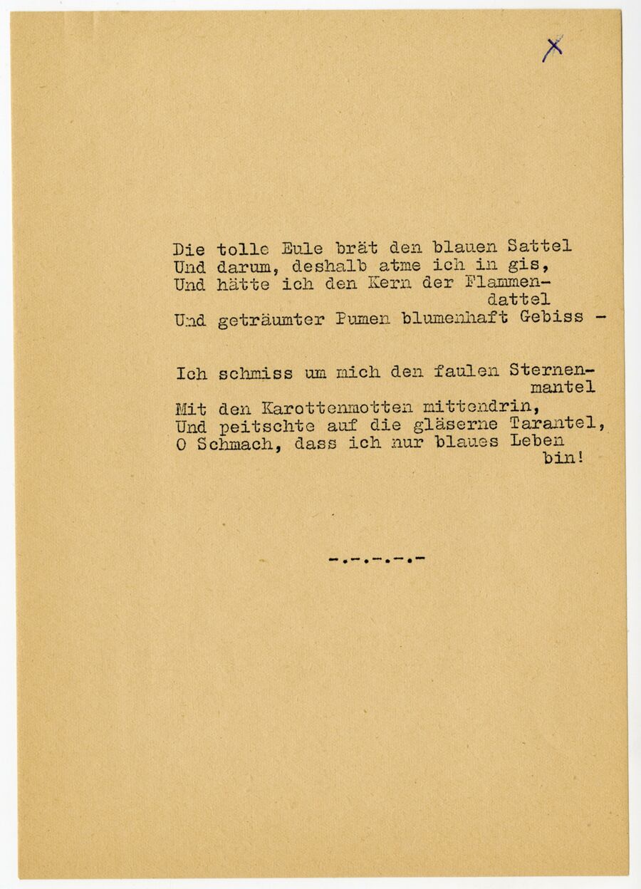 vergrößerte Ansicht des Objekts