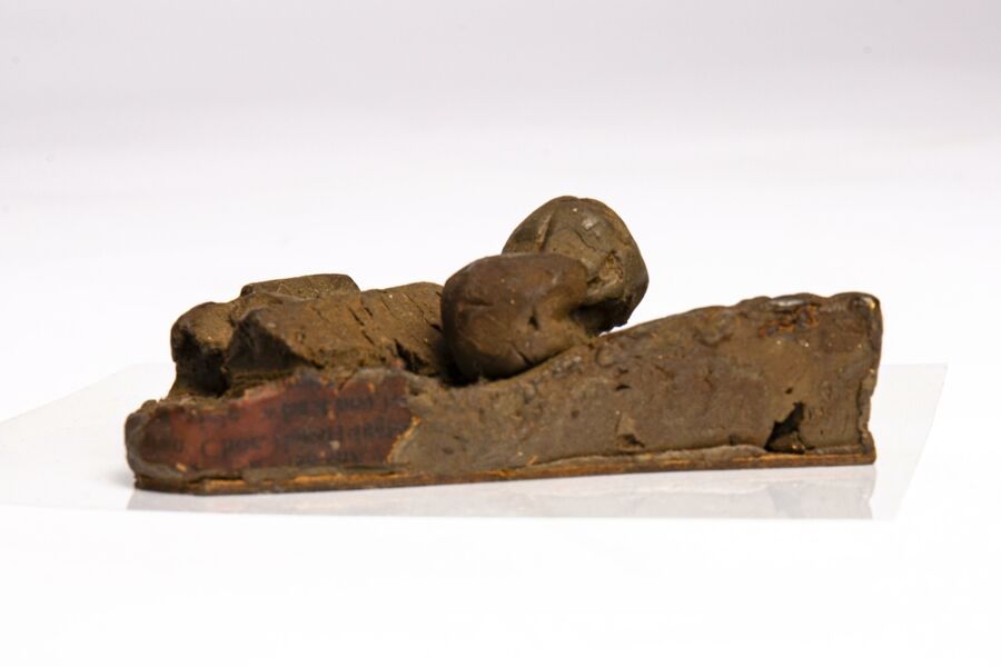 vergrößerte Ansicht des Objekts